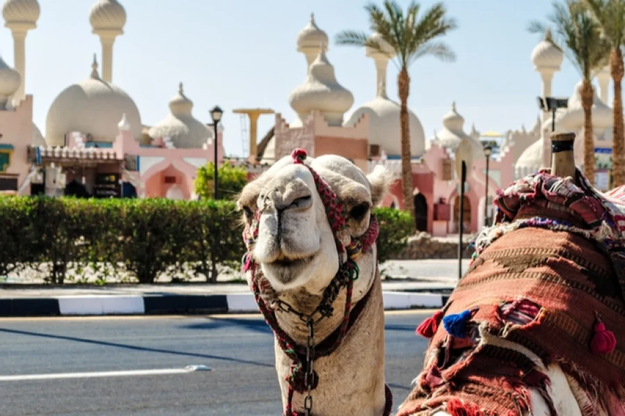 Sharm El Sheikh Turu Yılbaşı Özel Ajet Havayolları ile 6 Gece Her Şey Dahil Oteller